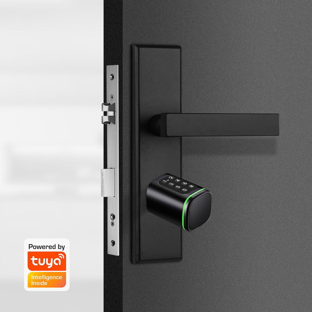 Smart Cylinder Lock Tuya 60-90 - Home Security Ideas review and price